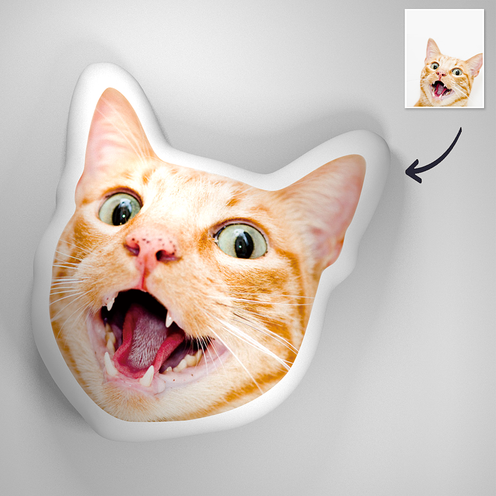 Benutzerdefinierte 3D-Porträt-Kissen aus Katzengesicht