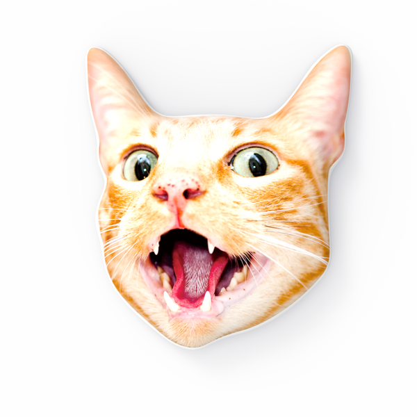 Benutzerdefinierte 3D-Porträt-Kissen aus Katzengesicht