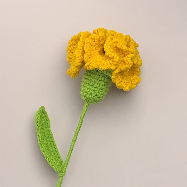 Nelke Häkeln Blume Handgemachte Gestrickte Blume Geschenk Für Liebhaber - MyFaceBoxerDE