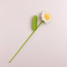 Kleine Gänseblümchen-häkelblume Handgemachtes Gestricktes Blumengeschenk Für Liebhaber - MyFaceBoxerDE